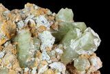 Apatite Crystals in Feldspar - Morocco #84329-2